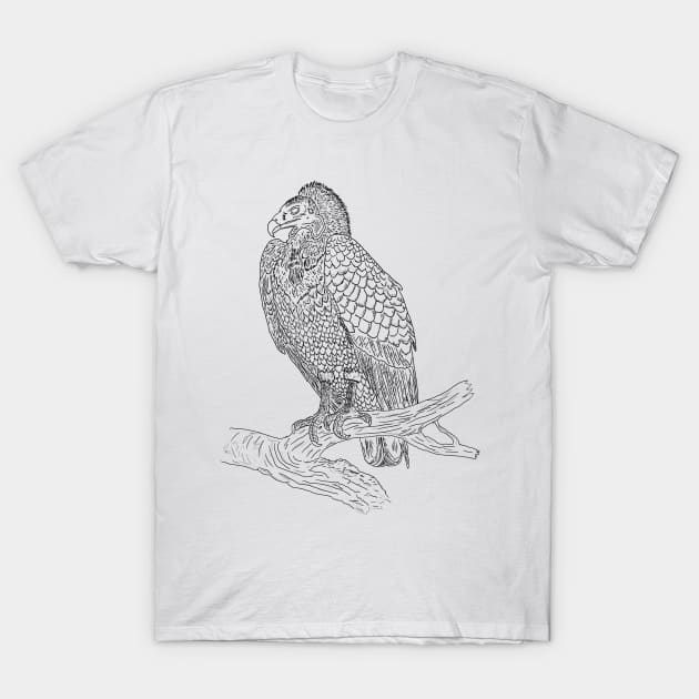 Vulture Bird Of Prey | Raptor Scavenger Ornithology Birdwatching T-Shirt by encycloart